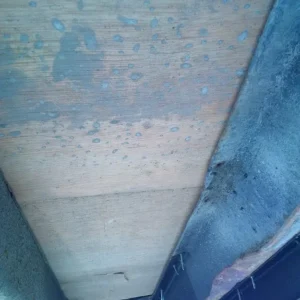 Container maritime 40′ HC classe B – Image 7